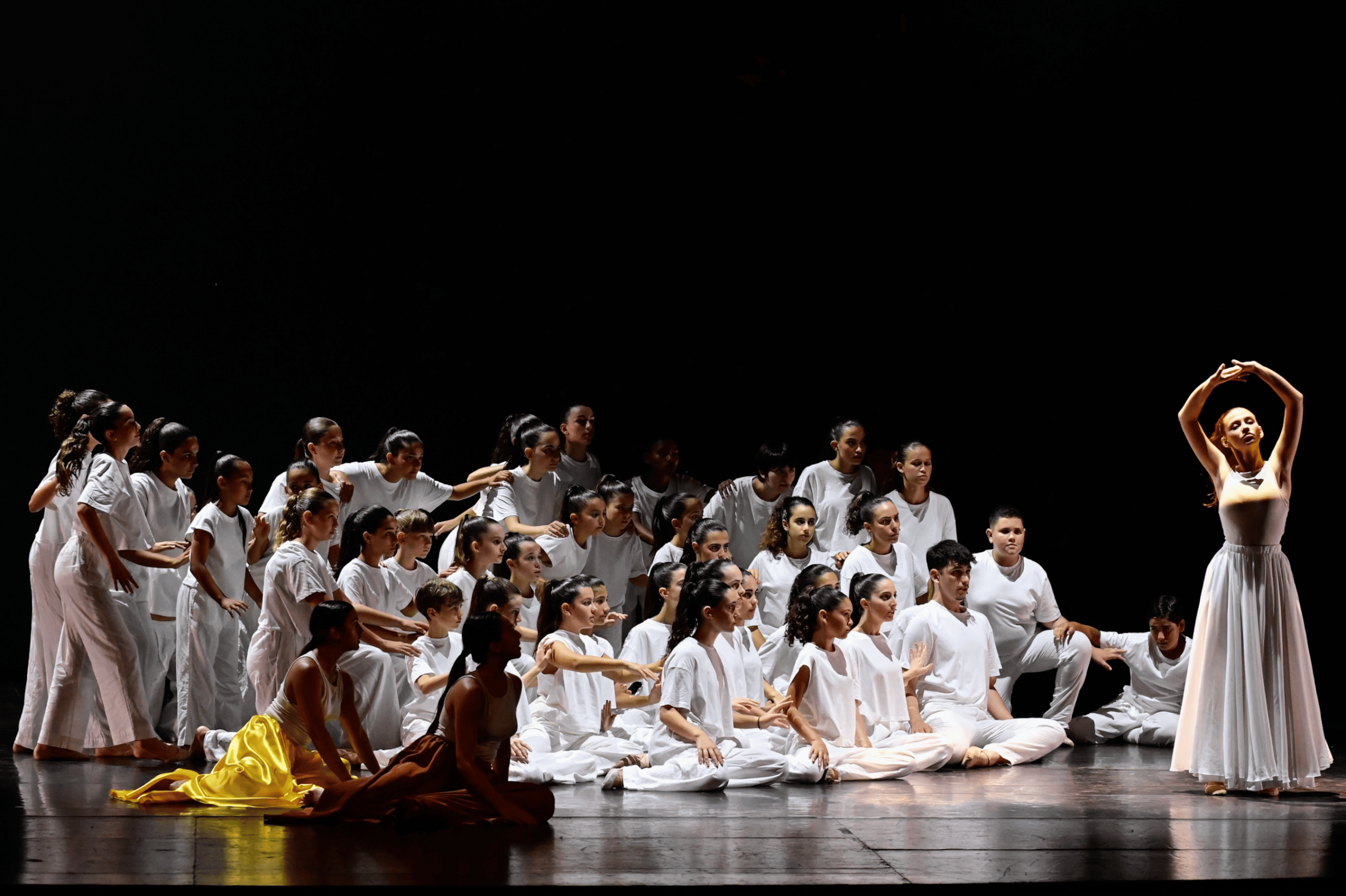 Masa Danza 8