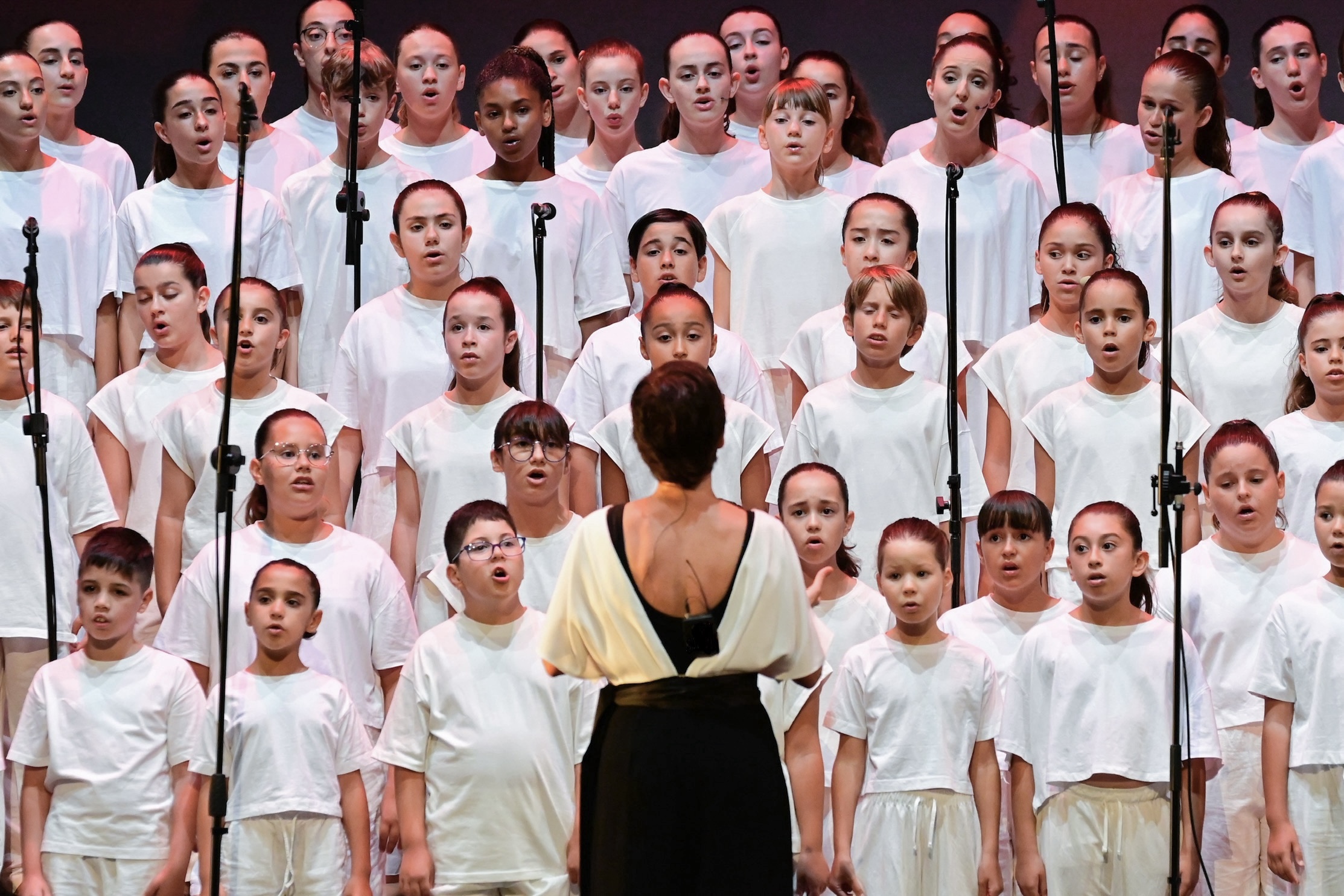 Masa Coro 8